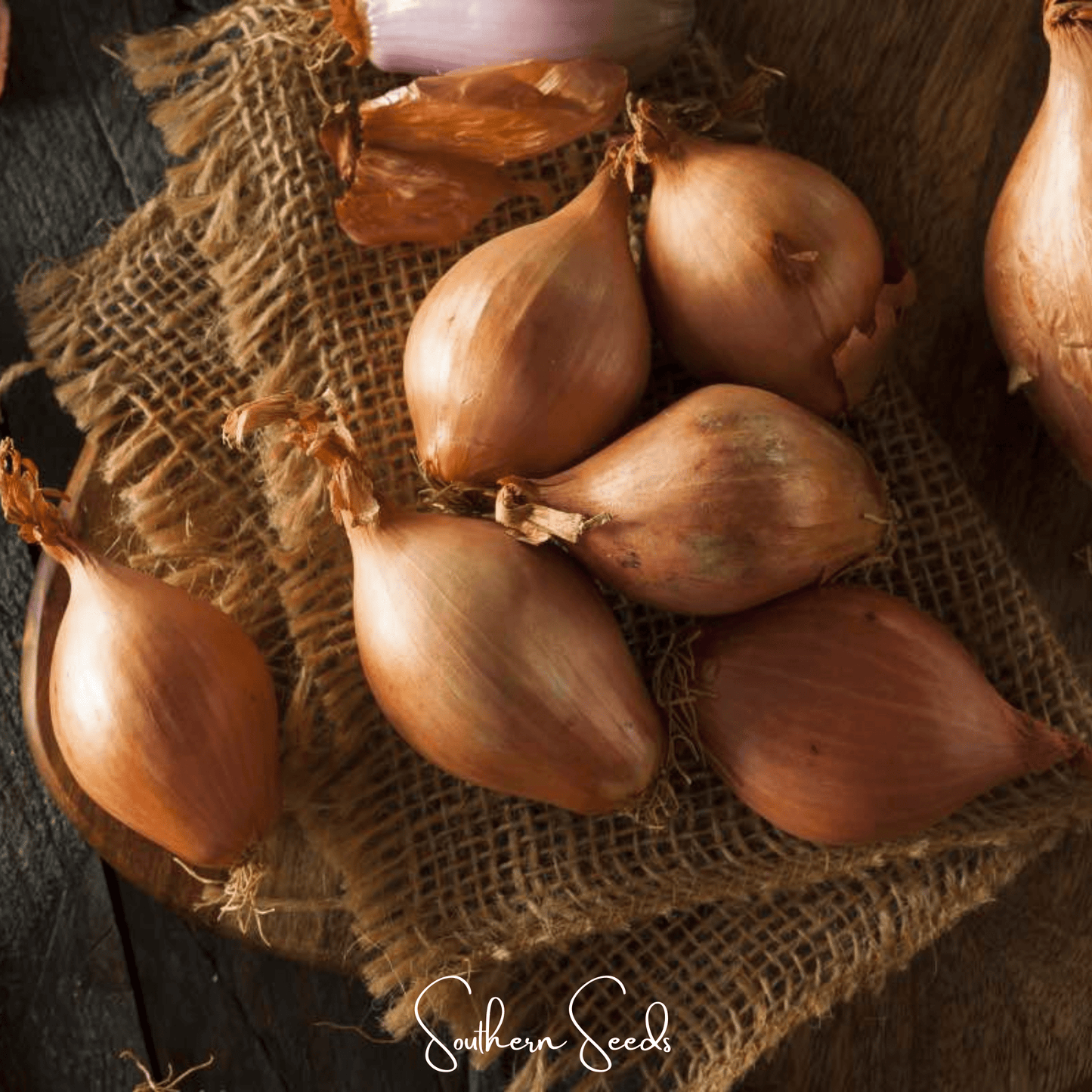 Davidor Shallot– 50 Seeds