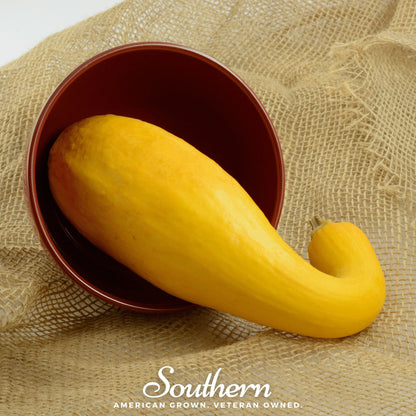 Crookneck Summer Squash – 25 Seeds