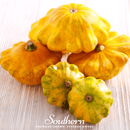 Scallop Yellow Bush Summer Squash – 25 Seeds