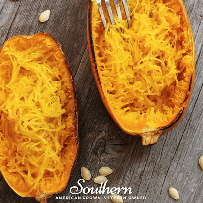 Spaghetti Winter Squash – 20 Seeds