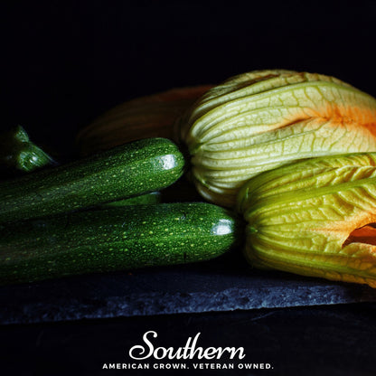 Dark Green Zucchini Summer Squash – 25 Seeds