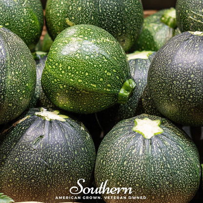 Zucchini Round Summer Squash – 25 Seeds