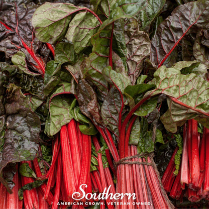 Ruby Red Swiss Chard – 100 Seeds