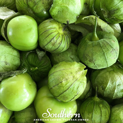 Verde Rio Grande Tomatillo – 50 Seeds