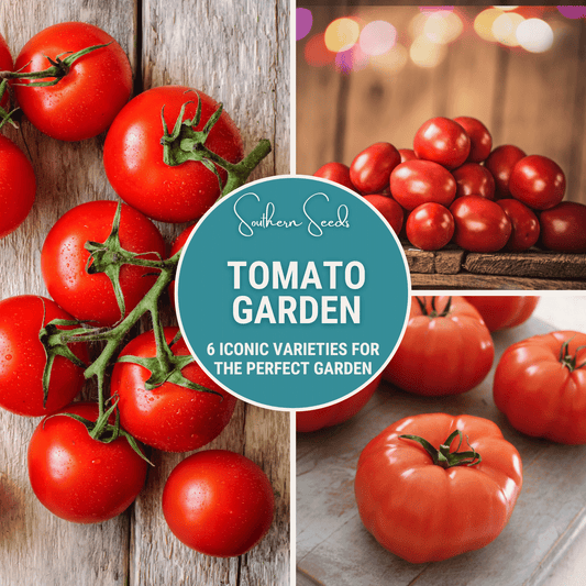 Tomato Garden Seed Collection – 6 Varieties