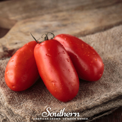 San Marzano Tomato – 50 Seeds