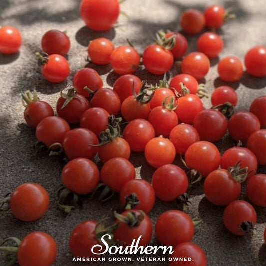 Sweetie Tomato – 50 Seeds